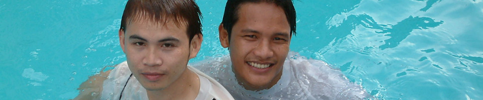 Page banner image