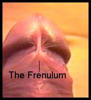 Frenulum sweet spot